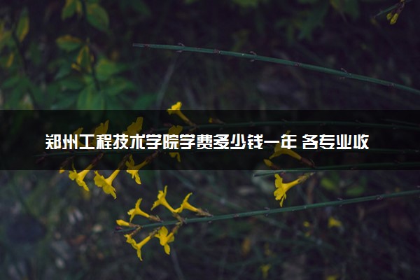 郑州工程技术学院学费多少钱一年 各专业收费标准（2025年参考）