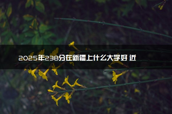 2025年238分在新疆上什么大学好 近三年录取分数线是多少