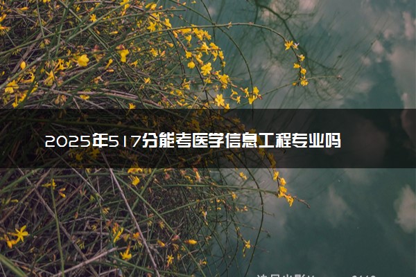 2025年517分能考医学信息工程专业吗 517分医学信息工程专业大学推荐