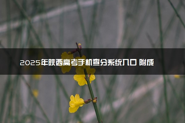 2025年陕西高考手机查分系统入口 附成绩查询时间及方法