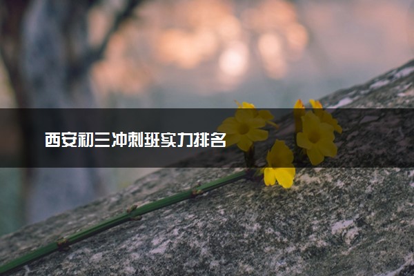 西安初三冲刺班实力排名