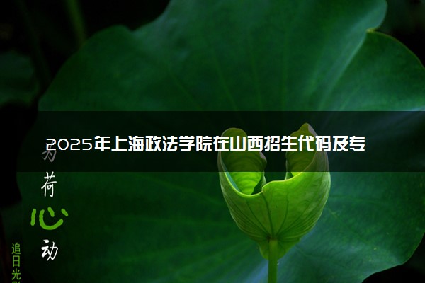 2025年上海政法学院在山西招生代码及专业代码 上海政法学院山西代码是多少？怎么查询？