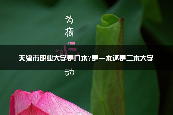 天津市职业大学是几本？是一本还是二本大学