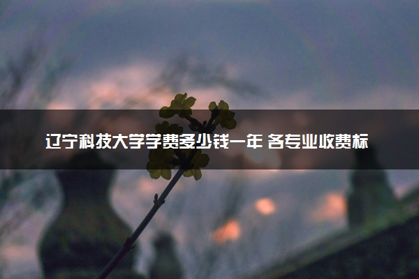 辽宁科技大学学费多少钱一年 各专业收费标准（2025年参考）