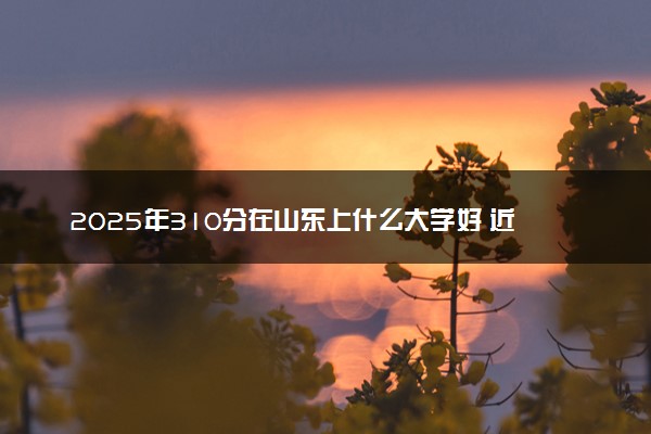 2025年310分在山东上什么大学好 近三年录取分数线是多少