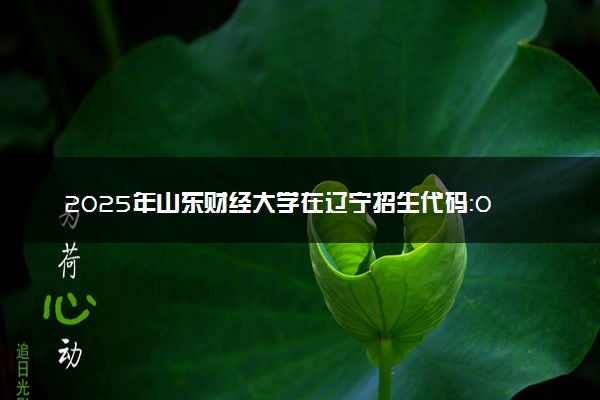 2025年山东财经大学在辽宁招生代码：0456 专业代码及报考指南