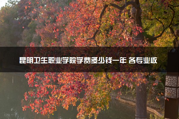 昆明卫生职业学院学费多少钱一年 各专业收费标准（2025年参考）