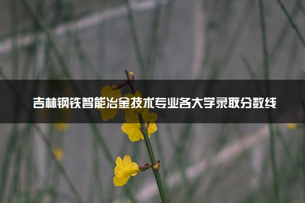 吉林钢铁智能冶金技术专业各大学录取分数线：最低184分能上 开设院校及位次