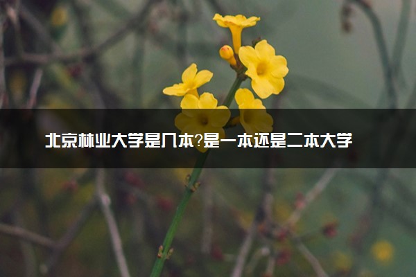 北京林业大学是几本？是一本还是二本大学