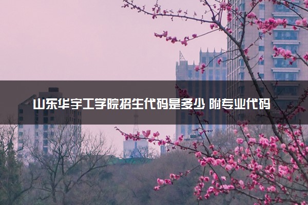 山东华宇工学院招生代码是多少 附专业代码对照表（2025参考）