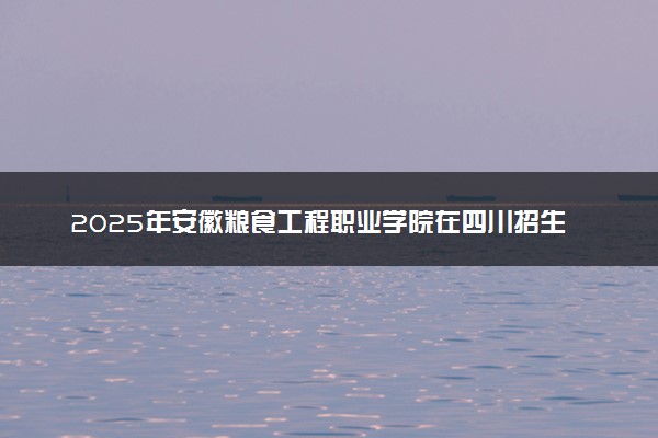 2025年安徽粮食工程职业学院在四川招生代码及专业代码 安徽粮食工程职业学院四川代码是多少？怎么查询？