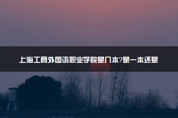 上海工商外国语职业学院是几本？是一本还是二本大学
