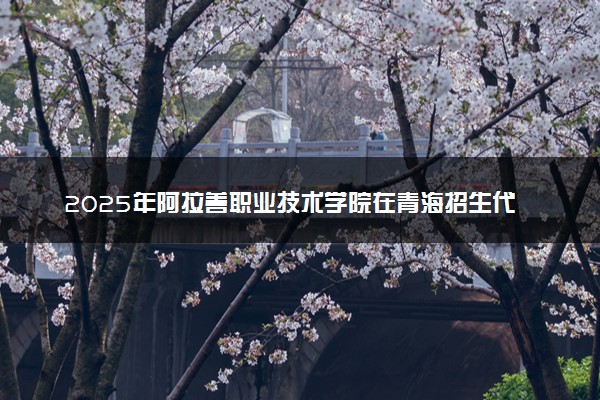 2025年阿拉善职业技术学院在青海招生代码：1406 专业代码及报考指南