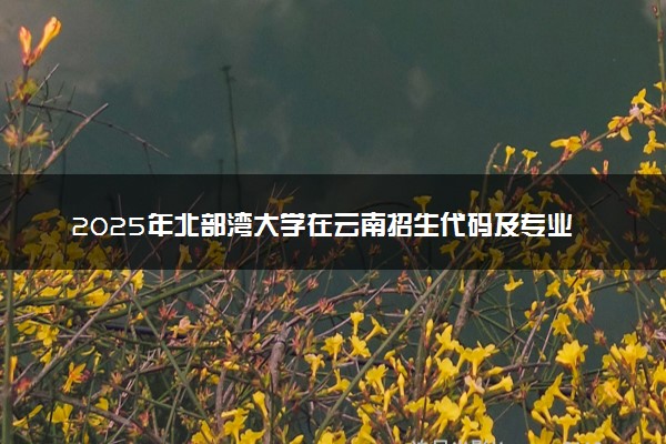 2025年北部湾大学在云南招生代码及专业代码 北部湾大学云南代码是多少？怎么查询？