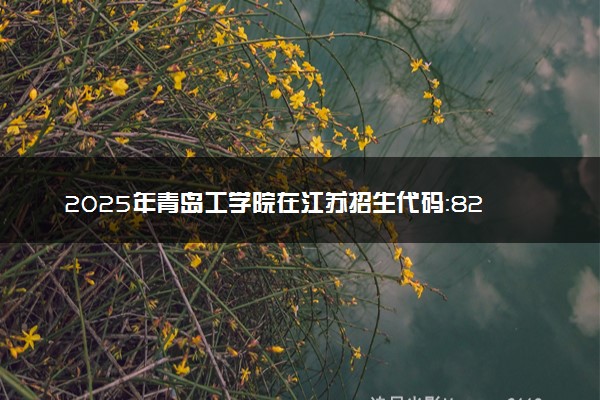 2025年青岛工学院在江苏招生代码：8225 专业代码及报考指南