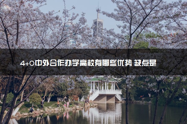 4+0中外合作办学高校有哪些优势 缺点是什么
