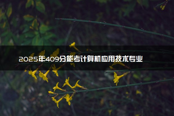 2025年409分能考计算机应用技术专业吗 409分计算机应用技术专业大学推荐