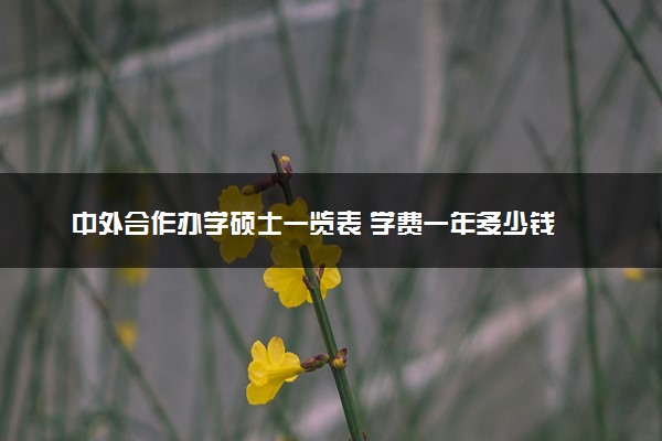 中外合作办学硕士一览表 学费一年多少钱