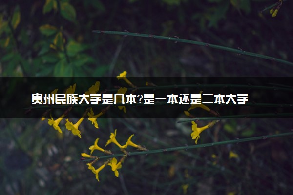 贵州民族大学是几本？是一本还是二本大学