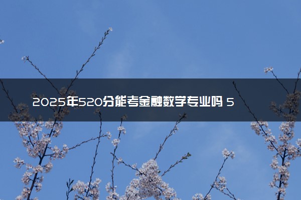 2025年520分能考金融数学专业吗 520分金融数学专业大学推荐