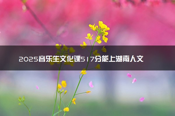 2025音乐生文化课517分能上湖南人文科技学院吗