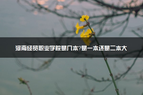 河南经贸职业学院是几本？是一本还是二本大学