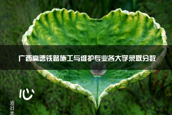 广西高速铁路施工与维护专业各大学录取分数线：最低203分能上 开设院校及位次