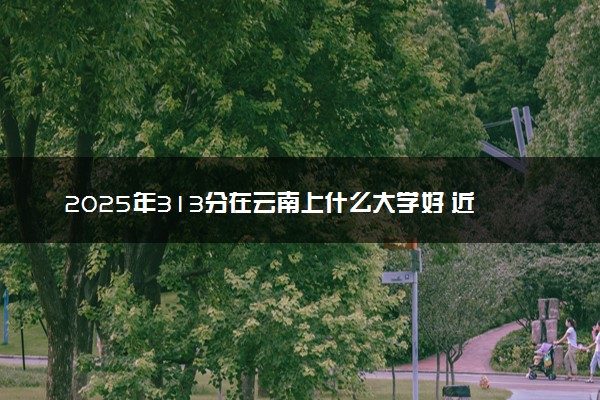 2025年313分在云南上什么大学好 近三年录取分数线是多少