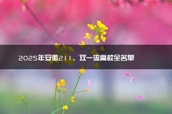 2025年安徽211、双一流高校全名单 最低多少分能上