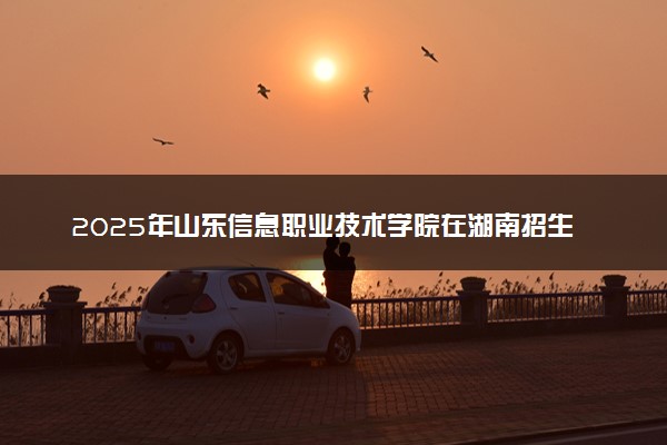 2025年山东信息职业技术学院在湖南招生代码：3788 专业代码及报考指南