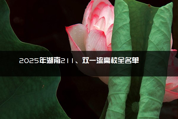 2025年湖南211、双一流高校全名单 最低多少分能上
