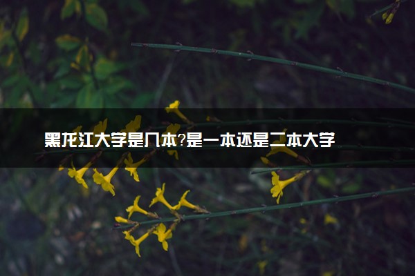 黑龙江大学是几本？是一本还是二本大学