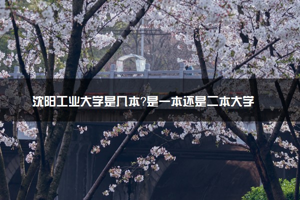 沈阳工业大学是几本？是一本还是二本大学