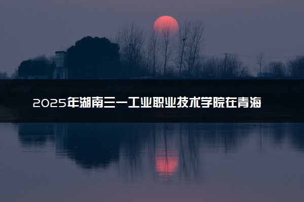 2025年湖南三一工业职业技术学院在青海招生代码：4379 专业代码及报考指南