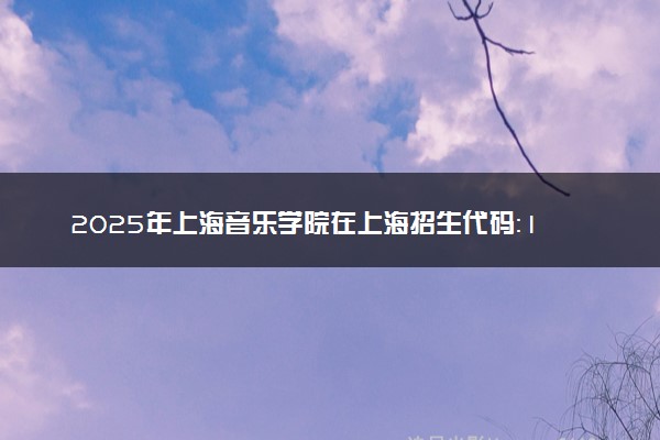 2025年上海音乐学院在上海招生代码：118 专业代码及报考指南