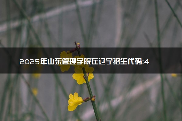 2025年山东管理学院在辽宁招生代码：4438 专业代码及报考指南