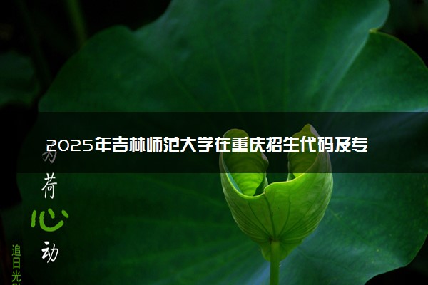 2025年吉林师范大学在重庆招生代码及专业代码 吉林师范大学重庆代码是多少？怎么查询？