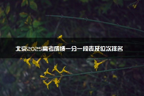 北京2025高考成绩一分一段表及位次排名查询（完整版）