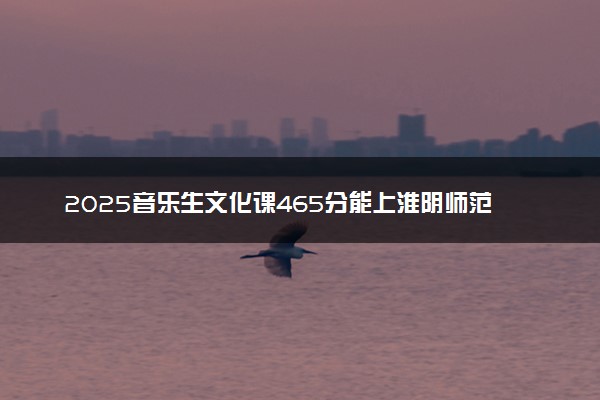 2025音乐生文化课465分能上淮阴师范学院吗