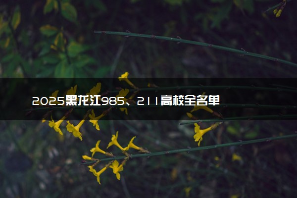 2025黑龙江985、211高校全名单 最值得上的院校推荐