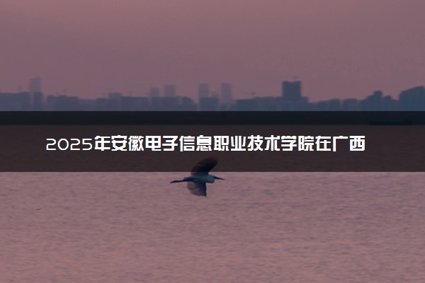 2025年安徽电子信息职业技术学院在广西招生代码：12814 专业代码及报考指南