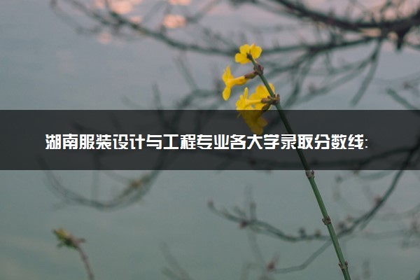 湖南服装设计与工程专业各大学录取分数线：最低441分能上 开设院校及位次