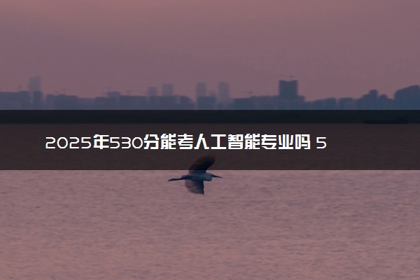 2025年530分能考人工智能专业吗 530分人工智能专业大学推荐
