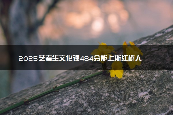 2025艺考生文化课484分能上浙江树人学院吗