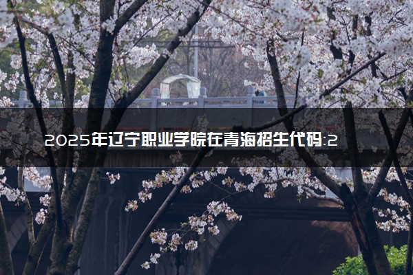 2025年辽宁职业学院在青海招生代码：2056 专业代码及报考指南