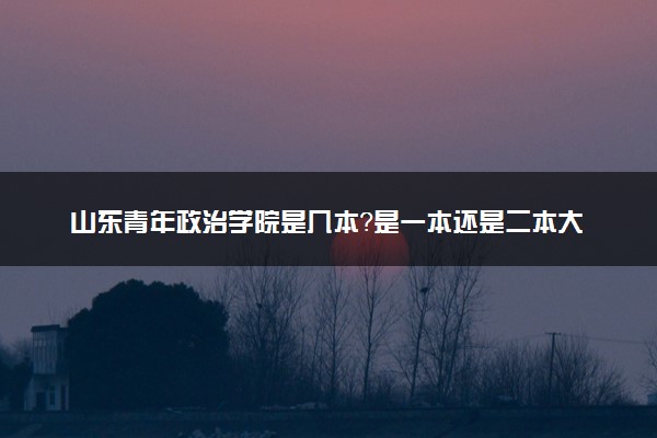 山东青年政治学院是几本？是一本还是二本大学