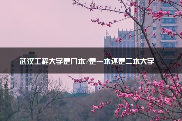 武汉工程大学是几本？是一本还是二本大学