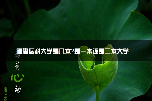 福建医科大学是几本？是一本还是二本大学