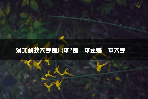 河北科技大学是几本？是一本还是二本大学