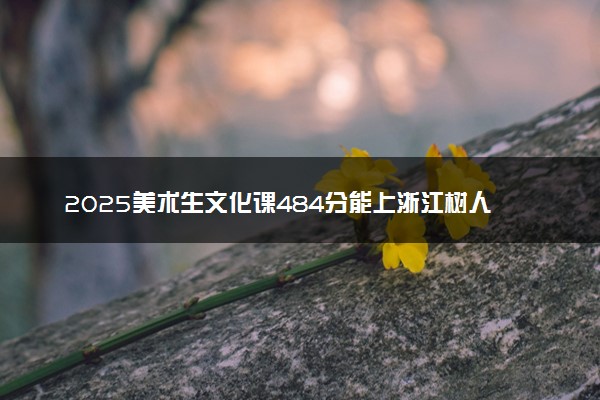 2025美术生文化课484分能上浙江树人学院吗